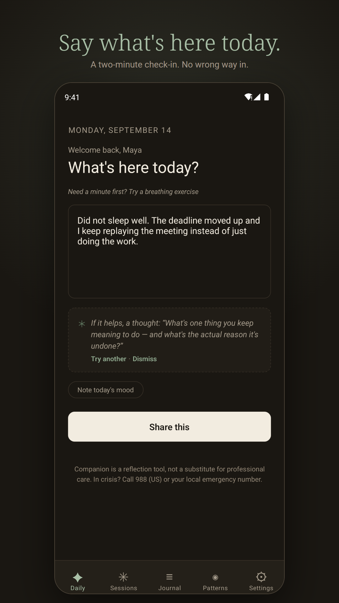 Daily check-in: 'What's here today?' above an open text field, with a quiet optional prompt